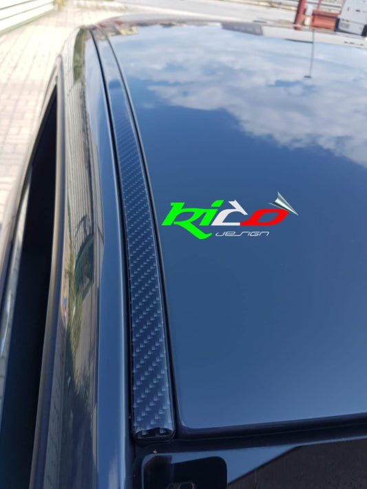 ADESIVO PORTA PACCHI ABARTH 500 595 695